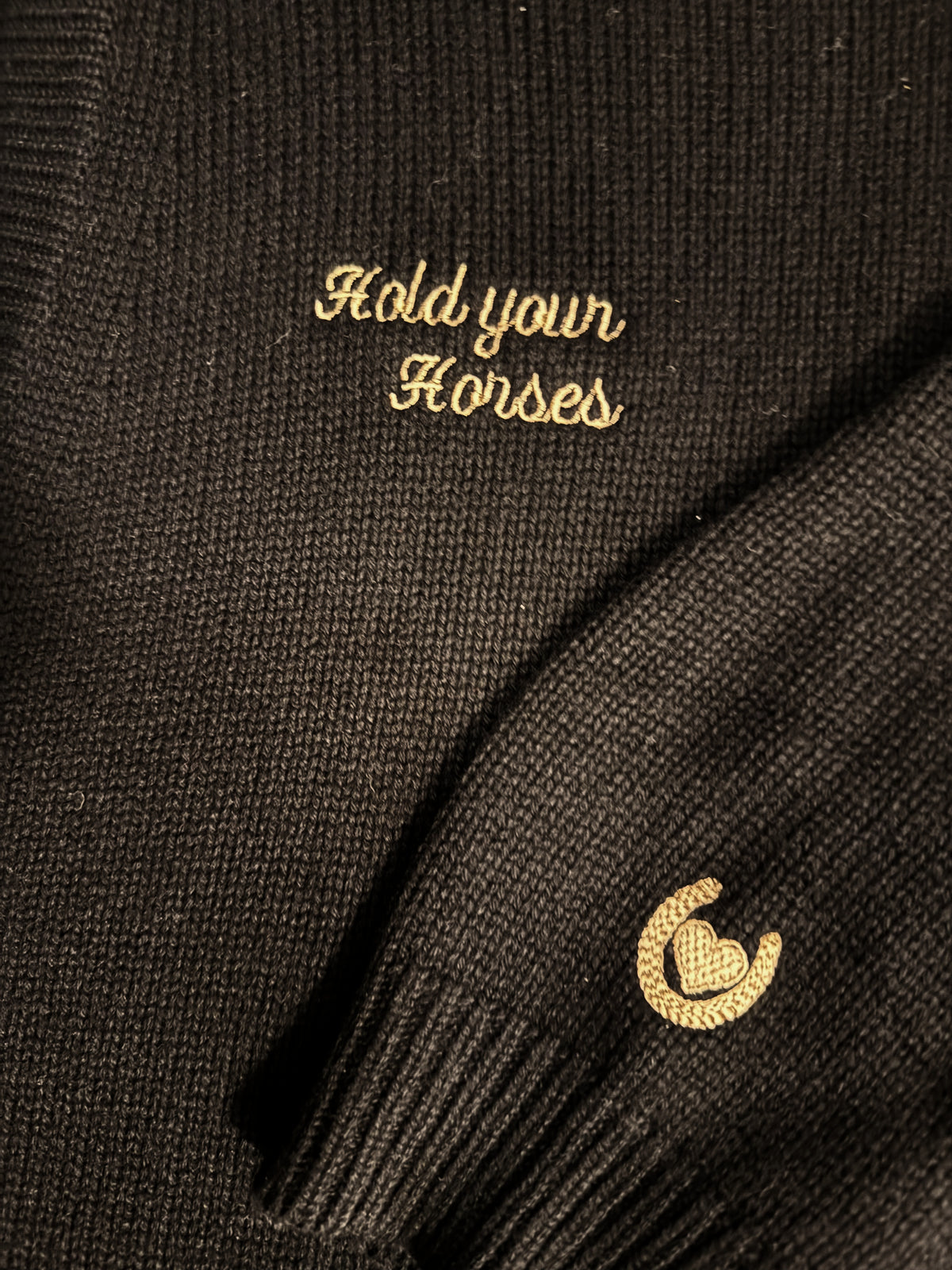 Hold Your Horses- The Kiddo